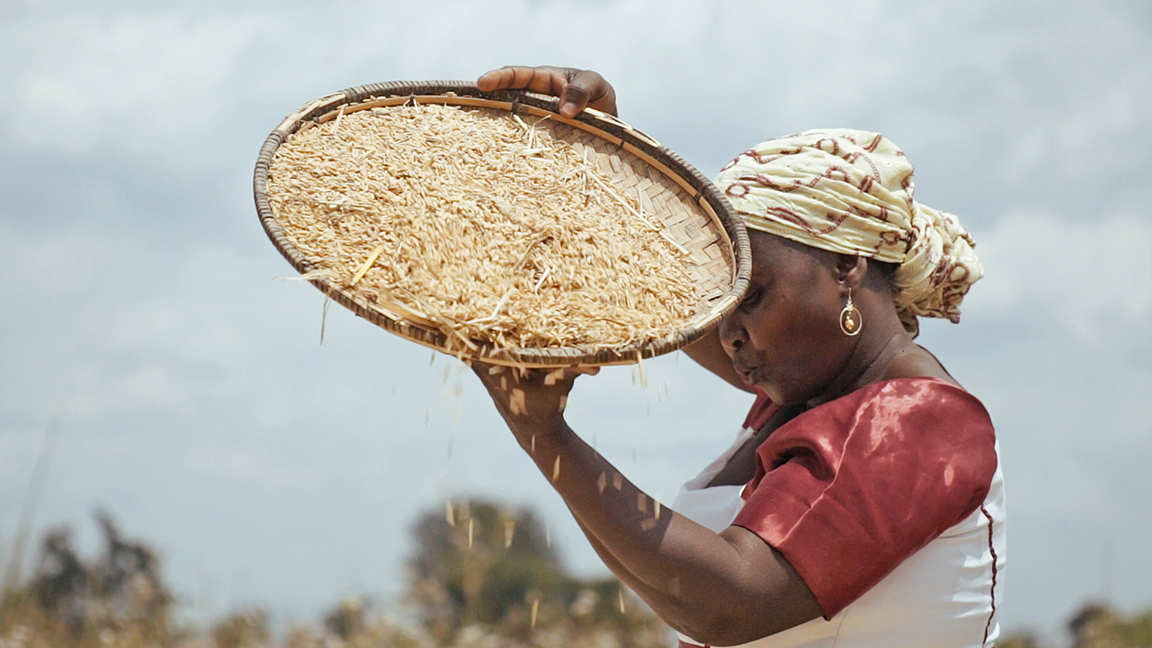 Norges Vel Comrice Tanzania Rice Intro Africa